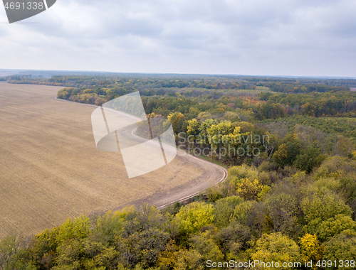 Image of Agricultural plowed fields with yellow autumn woods on a cloudy day.