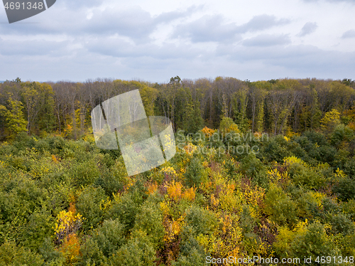 Image of Autumn landscape from a drone above the forest with young trees and cloudy sky.