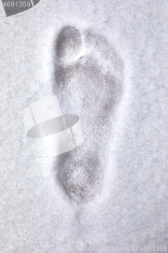 Image of Footprint barefoot in snow