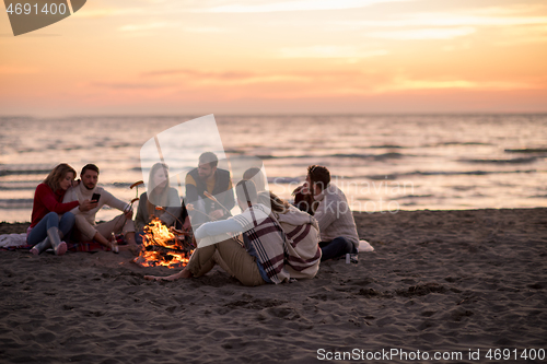 Image of Group Of Young Friends Sitting By The Fire at beach