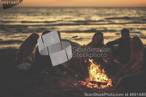 Image of Group Of Young Friends Sitting By The Fire at beach