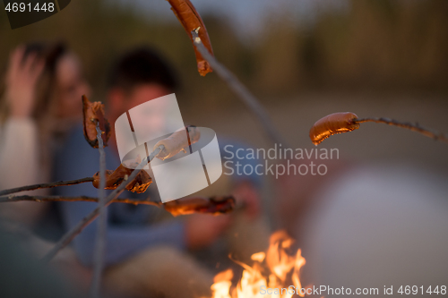 Image of Group Of Young Friends Sitting By The Fire at beach