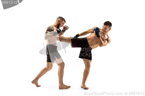 Image of Two professional boxers boxing isolated on white studio background