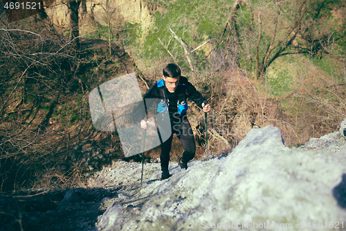 Image of Hiker - man hiking in forest.