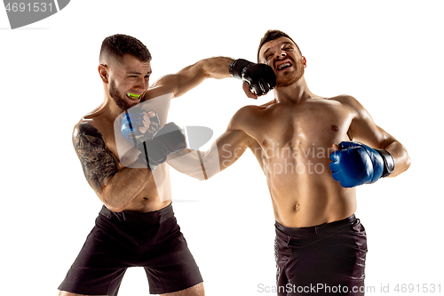 Image of Two professional boxers boxing isolated on white studio background