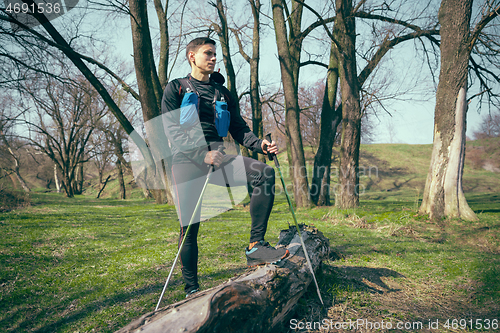 Image of Hiker - man hiking in forest.