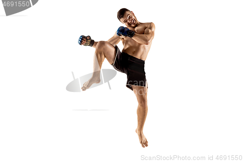 Image of Professional boxer boxing isolated on white studio background