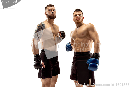 Image of Two professional boxers boxing isolated on white studio background