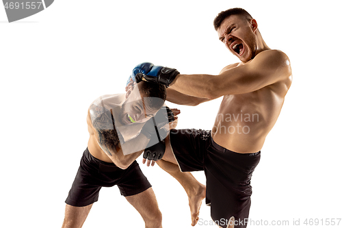 Image of Two professional boxers boxing isolated on white studio background