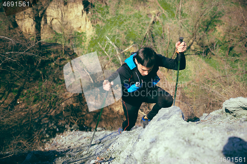 Image of Hiker - man hiking in forest.