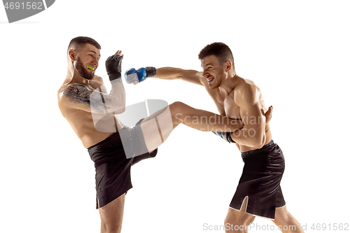 Image of Two professional boxers boxing isolated on white studio background