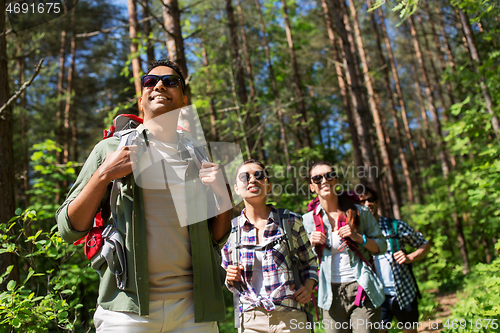 Image of group of friends with backpacks hiking in forest