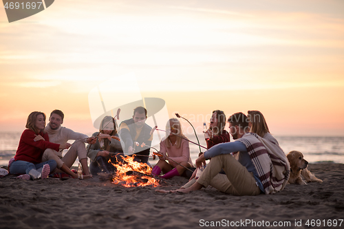 Image of Group Of Young Friends Sitting By The Fire at beach