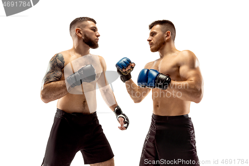 Image of Two professional boxers boxing isolated on white studio background