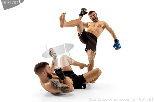 Image of Two professional boxers boxing isolated on white studio background