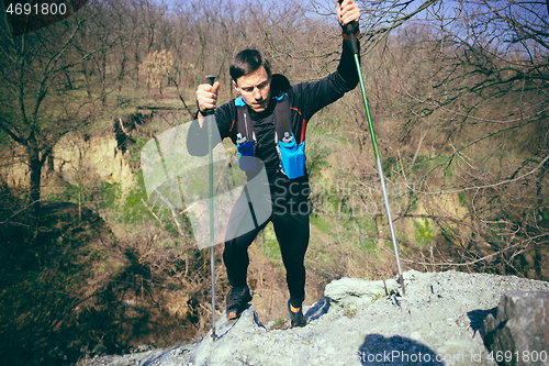 Image of Hiker - man hiking in forest.