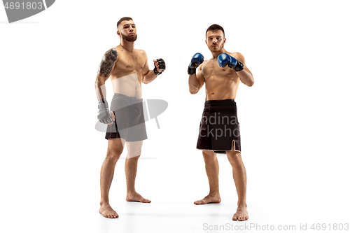 Image of Two professional boxers boxing isolated on white studio background