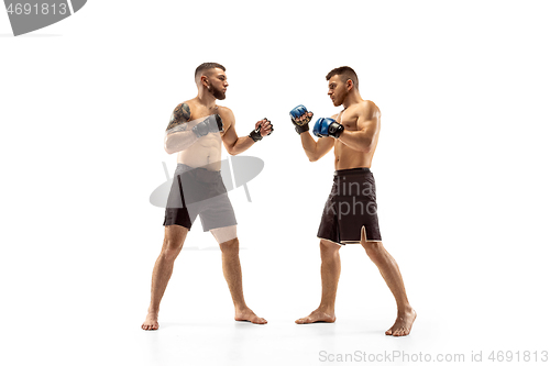 Image of Two professional boxers boxing isolated on white studio background