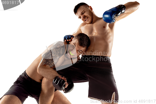 Image of Two professional boxers boxing isolated on white studio background