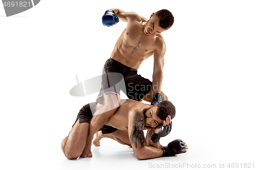 Image of Two professional boxers boxing isolated on white studio background