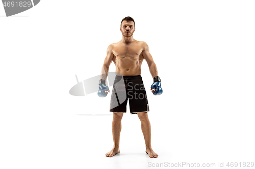 Image of Professional boxer boxing isolated on white studio background