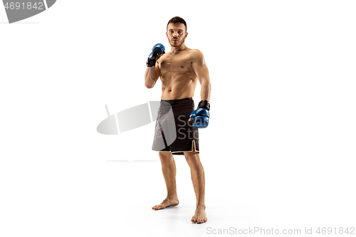 Image of Professional boxer boxing isolated on white studio background