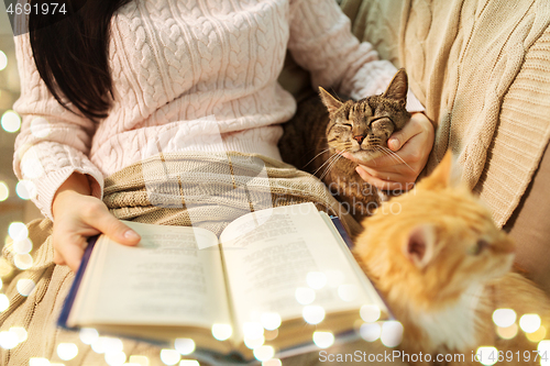 Image of red and tabby and owner reading book at home