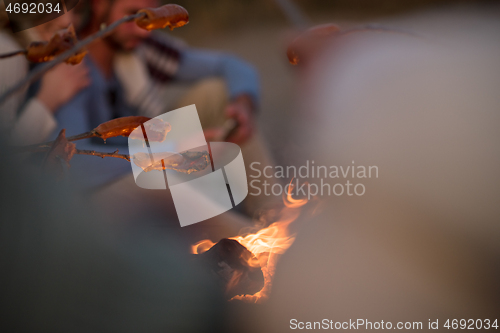 Image of Group Of Young Friends Sitting By The Fire at beach