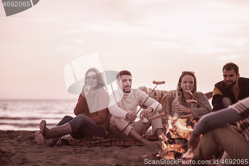 Image of Group Of Young Friends Sitting By The Fire at beach