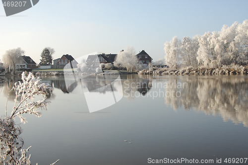 Image of Trees covered hoarfrost