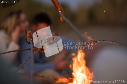 Image of Group Of Young Friends Sitting By The Fire at beach