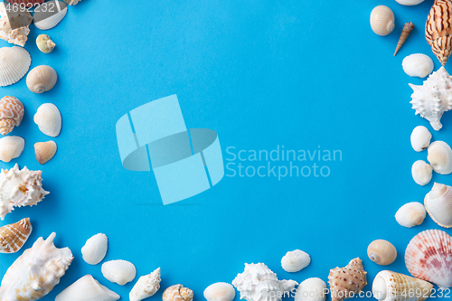 Image of frame of different sea shells on blue background