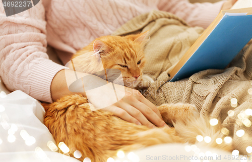 Image of red cat and female owner reading book at home