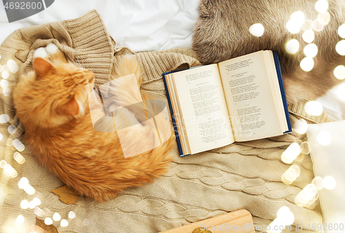 Image of red tabby cat lying on blanket at home in winter