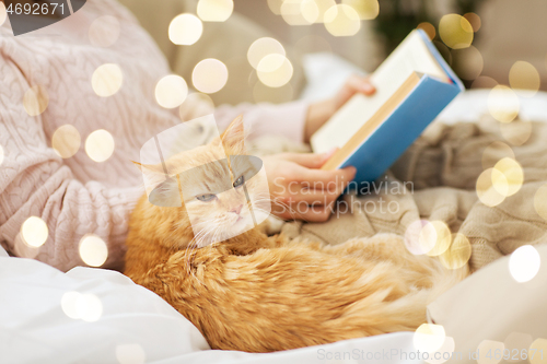 Image of red cat and female owner reading book at home