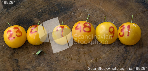 Image of yellow plums like lottery winning balls