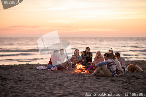 Image of Group Of Young Friends Sitting By The Fire at beach