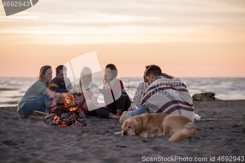 Image of Friends having fun at beach on autumn day