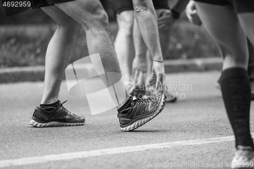 Image of runners team warming up and stretching before morning training