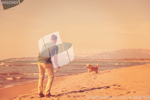 Image of man with dog enjoying free time on the beach