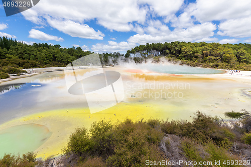 Image of geothermal activity at Rotorua in New Zealand