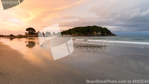 Image of Bay Of Plenty