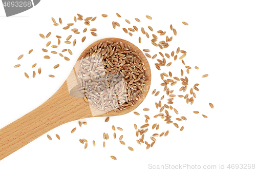 Image of Organic Emmer Farro Wholegrain Wheat