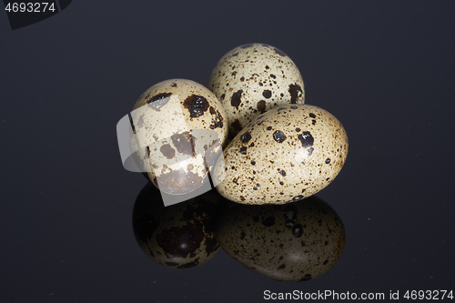 Image of three quail eggs