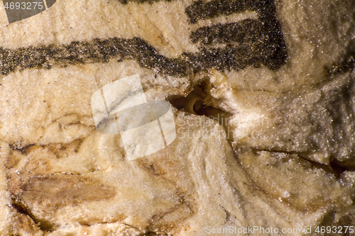 Image of cork macro shot