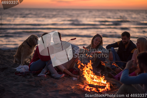 Image of Group Of Young Friends Sitting By The Fire at beach