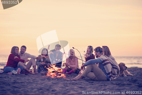 Image of Group Of Young Friends Sitting By The Fire at beach