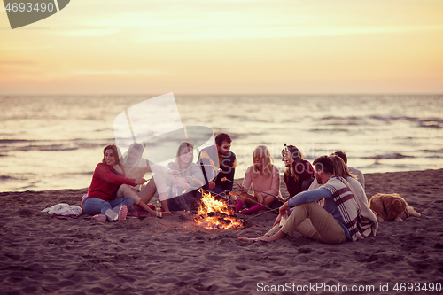 Image of Group Of Young Friends Sitting By The Fire at beach