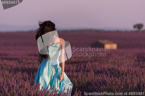 Image of woman in lavender flower field