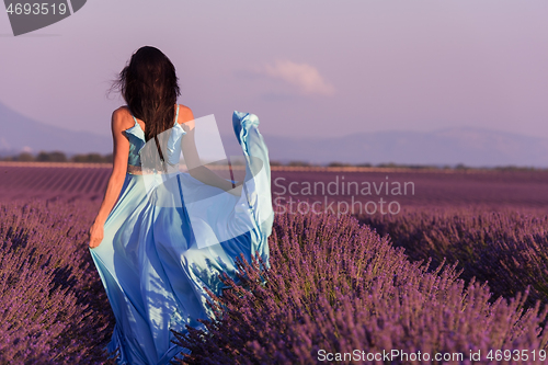 Image of woman in lavender flower field